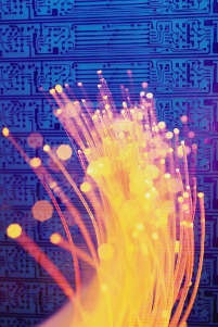 fibre